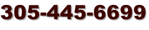 305-445-6699